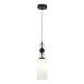 Светильник подвесной ST-Luce черный/белый E27 1*40W SL2003.403.01 - фото