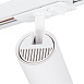 Трековый светильник ARTE LAMP A1945PL-1WH - фото
