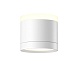 Потолочный светильник Technical C120CL-GX53-W - фото