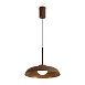 Подвесной светильник Freya FR5602PL-L5BR1 - фото