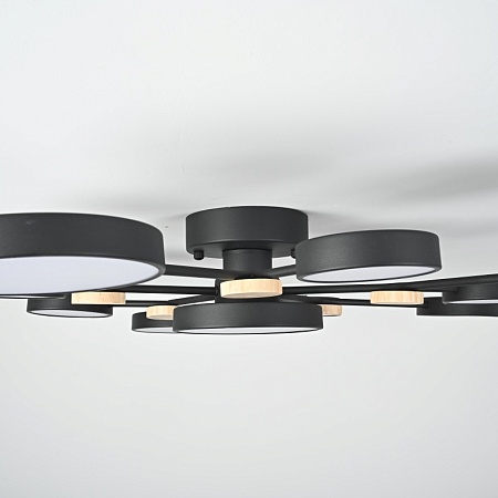 Потолочная Люстра Gamma D102 Black Imperiumloft 223770-23 - фото