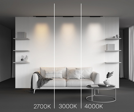 Трековый светильник Technical TR193-1-20W4K-M-B - фото