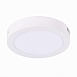 Светильник настенно-потолочный Белый LED 1*12W 3000K 715Lm Ra80 120° IP20 D160xH28 90-2 ST112.532.12 - фото