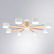 Потолочная люстра Arte Lamp TENDA A1624PL-8WH - фото