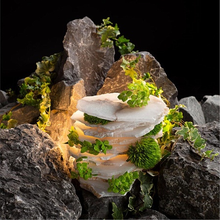 Настенный светильник Divinare ELEANOR 1713/17 AP-12 - фото