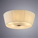 Трековый светильник ARTE LAMP A1509PL-6PB - фото