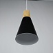 Подвесной Светильник Xd-A Black Imperiumloft 141165-26 - фото