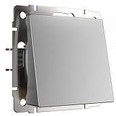 Вывод кабеля серебряный WL06-16-01