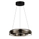 Светильник подвесной ST-Luce Черный/Дымчатый, Белый LED 1*18W 3000K SL6019.323.01 - фото