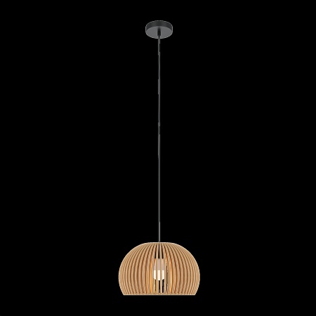 Подвесной светильник Maytoni Roots MOD195PL-01W - фото