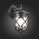 Светильник уличный настенный ST-Luce Черный/Черный, Прозрачный E27 1*60W SL085.411.01 - фото