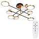 Потолочная люстра Arte Lamp HOLLY A1364PL-8PB - фото