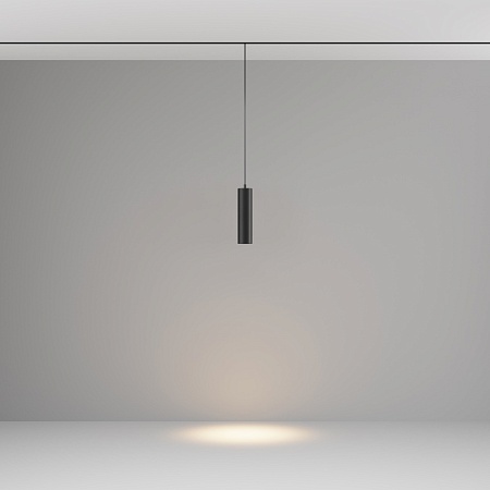 Трековый светильник Technical FOCUS LED TR041-2-12W3K-B - фото