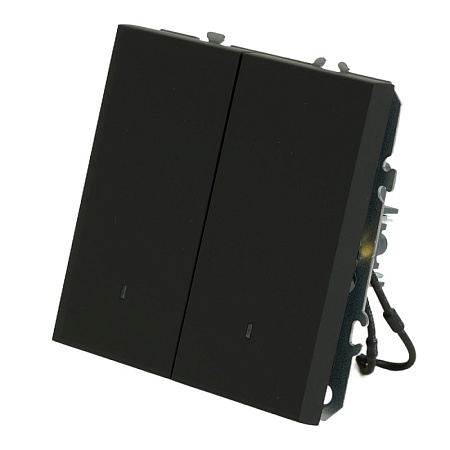 Выключатель 2-клавишный c индикатором (механизм), STEKKER, 250В, 10А, серия Эмили, RSW10-5102-05, черный уголь, soft touch - фото