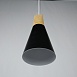 Подвесной Светильник Xd-A Black Imperiumloft 141165-26 - фото