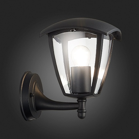 Светильник уличный настенный ST-Luce Черный/Черный, Прозрачный E27 1*40W SL081.401.01 - фото