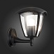 Светильник уличный настенный ST-Luce Черный/Черный, Прозрачный E27 1*40W SL081.401.01 - фото