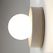 Настенный светильник (бра) Maytoni MOD403WL-01BG1 - фото