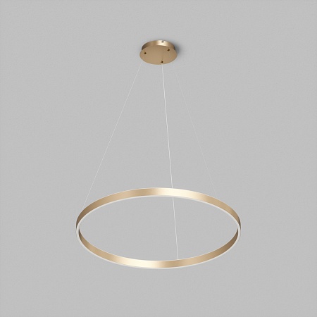 Потолочный подвесной светильник Denkirs DK6272-SG - фото