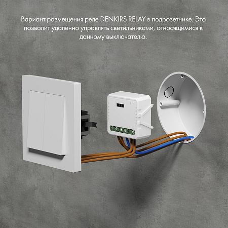 RL1001-SM Одноканальное Wi-Fi реле-выключатель 1 x 2300 Вт / 250 Вт для LED - фото