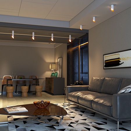 Накладной потолочный светильник DLN115 GU10 Elektrostandard - фото