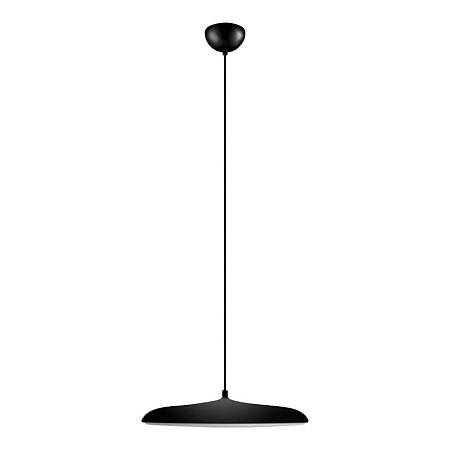 10119 Black Подвесной светильник LOFT IT Plato - фото