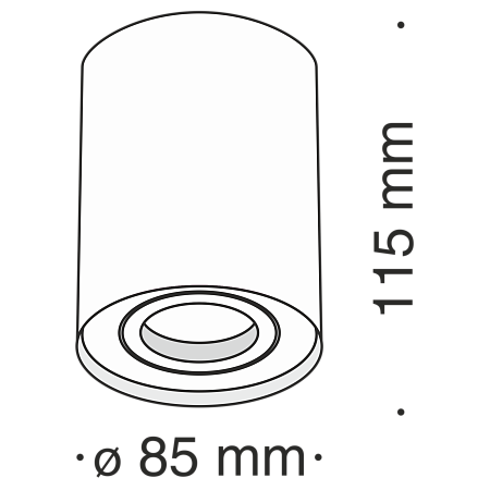 Потолочный светильник Technical C016CL-01S - фото