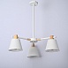 Потолочная Люстра На Штанге Natura A White 3 Imperiumloft 101826-26 - фото