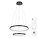 Подвесная люстра Arte Lamp FRODO A2197SP-2BK - фото