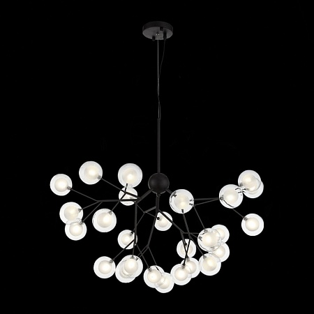 Светильник подвесной ST-Luce Черный/Прозрачный, Белый G4 LED 27*2W SL376.403.27 - фото