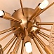 Потолочная Люстра Inca D48 Pendent Imperiumloft 203836-26 - фото