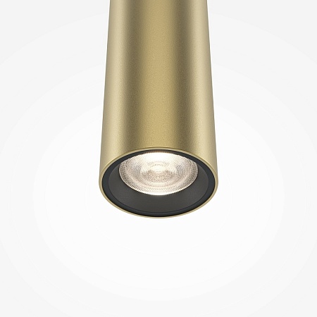 Подвесной светильник Maytoni Pro Extra MOD160PL-L6G4K1 - фото
