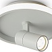 Потолочный светильник Freya FR6040CL-L14W - фото