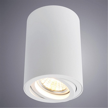 Точечный накладной светильник Arte Lamp SENTRY A1560PL-1WH - фото