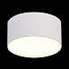 Светильник потолочный Белый LED 1*12W 3000K 1 080Lm Ra>85 120° IP20 D120xH55 185-265V ST606.532.12 - фото