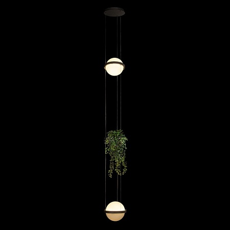 10121/2P Dark grey Подвесной светильник LOFT IT Jardin - фото