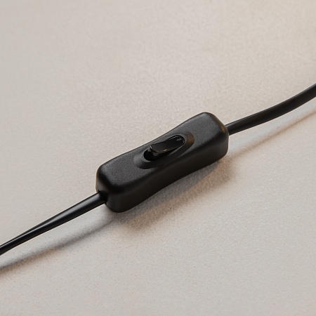 Настольный светильник Maytoni Kiwi Z153-TL-01-BS - фото