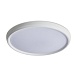 Потолочный светильник Freya FR6211CL-L24W - фото