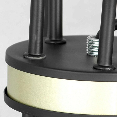 Люстра Lussole ROOSEVELT LSP-8198 - фото