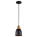 Подвесной светильник Arte Lamp EURICA A4248SP-1BK - фото