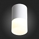 Светильник потолочный Белый LED 1*5W 3000K 390Lm Ra>80 120° D64xH110 170-240V ST100.502.05 - фото