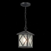 Светильник уличный подвесной ST-Luce Черный/Черный, Прозрачный E27 1*60W SL084.403.01