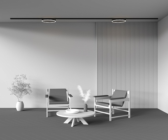 Трековый светильник Technical TR227-2-24W3K-B - фото