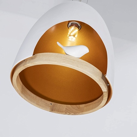 Подвесная люстра Favourite 1878-1P - фото