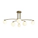 Потолочный светильник Freya Hanger FR5443CL-06BS - фото