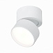 Светильник потолочный поворотный Белый LED 1*9W 4000K 720Lm Ra>90 120° IP20 D85xH87 170 ST651.542.09 - фото