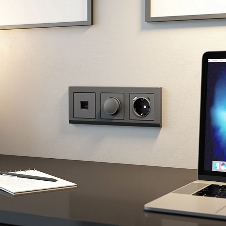 Диммер (графит матовый) W1142064 - фото