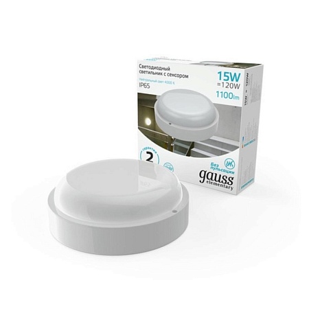 Светильник GAUSS 126411215-S_GAUSS - фото