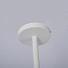 Потолочная Люстра На Штанге Natura A White 8 Imperiumloft 177988-26 - фото
