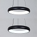 Подвесная люстра Arte Lamp ALGEDI A6028SP-46BK - фото